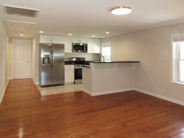 Living Area and Kitchen
