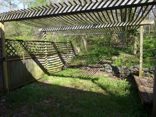 Yard