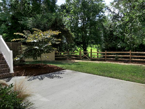 Backyard