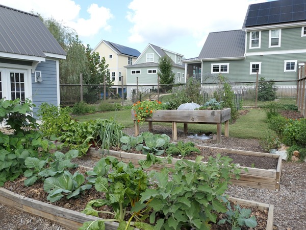 Community Garden