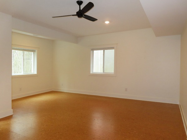 Family Room - lower