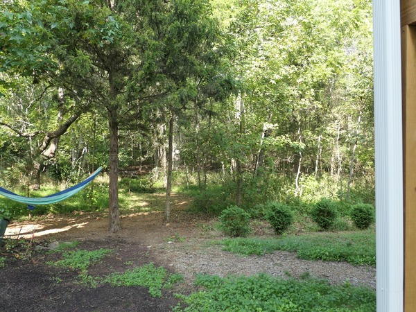 Common Area in Back