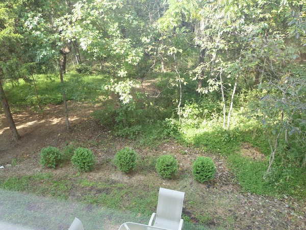 Common Area in Back