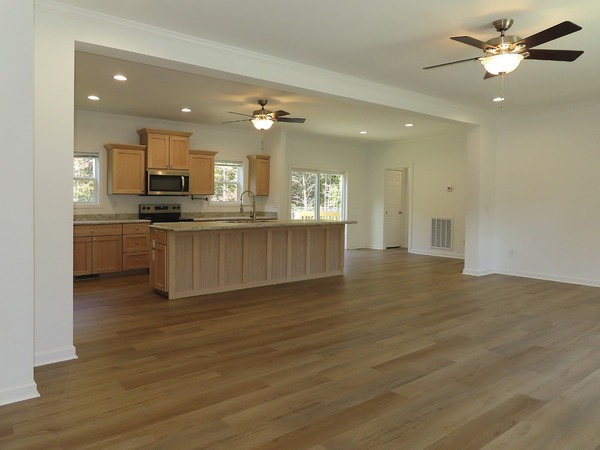 Living room, kitchen
