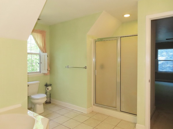 Master Bathroom - View 2