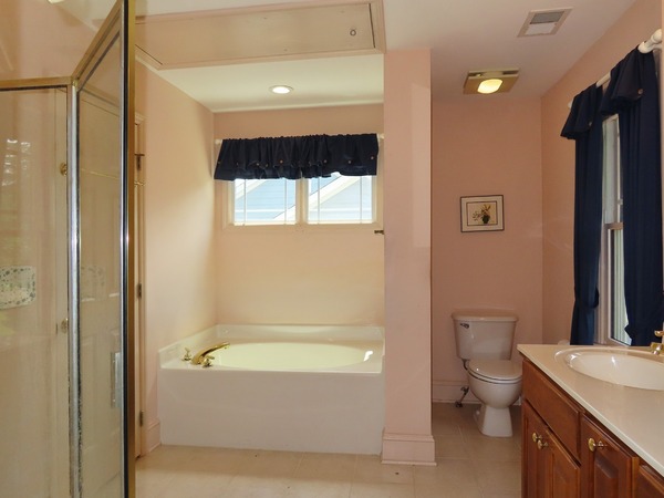Master Bathroom - View 2