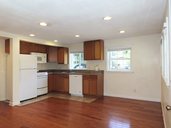 Living room and kitchen