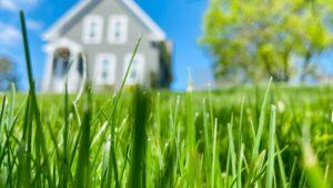 House with grass in front in focus
