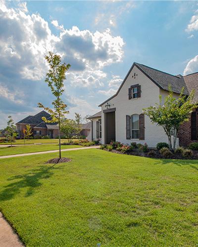 House with small tree in front yard